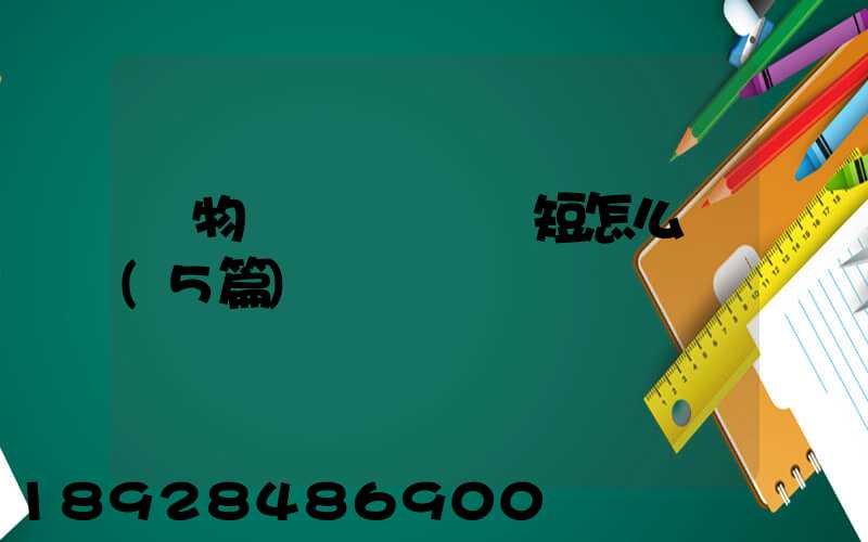 貨物運輸協議書簡短怎么寫(5篇)