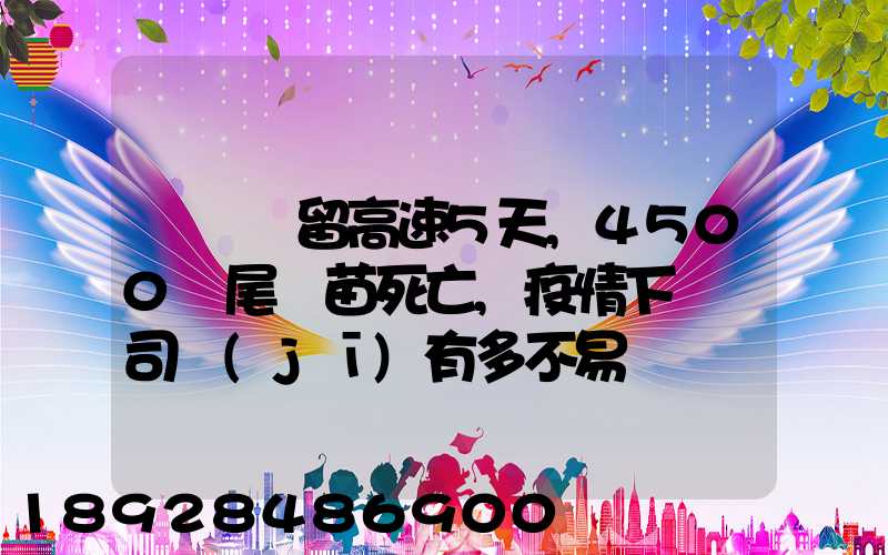 貨車滯留高速5天,4500萬尾魚苗死亡,疫情下貨車司機(jī)有多不易