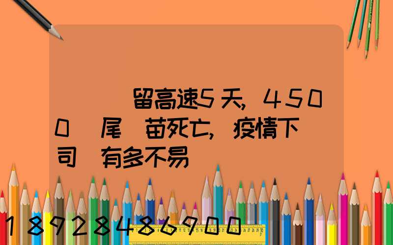 貨車滯留高速5天,4500萬尾魚苗死亡,疫情下貨車司機有多不易