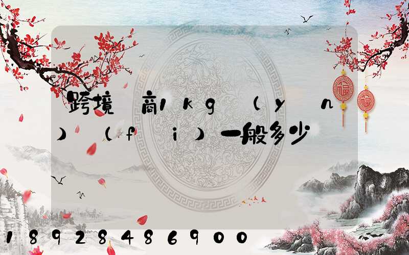 跨境電商1kg運(yùn)費(fèi)一般多少