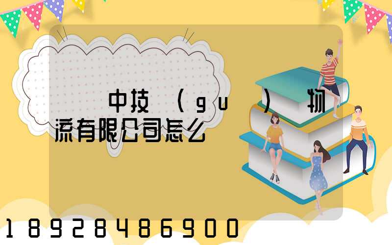 遼寧中技國(guó)際物流有限公司怎么樣