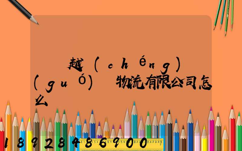 遼寧越誠(chéng)國(guó)際物流有限公司怎么樣