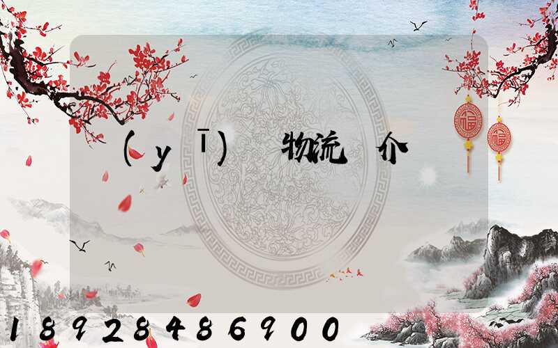 醫(yī)藥物流簡介