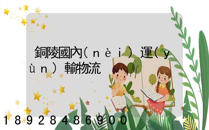 銅陵國內(nèi)運(yùn)輸物流