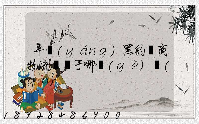 阜陽(yáng)黑豹電商物流園屬于哪個(gè)區(qū)