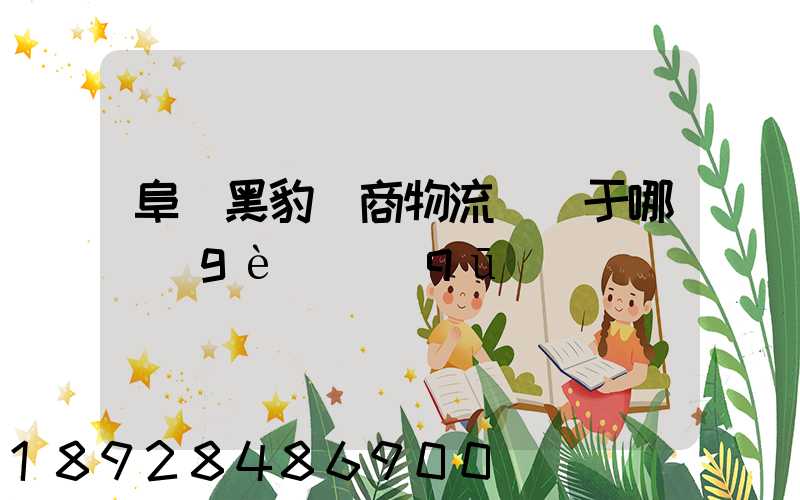 阜陽黑豹電商物流園屬于哪個(gè)區(qū)