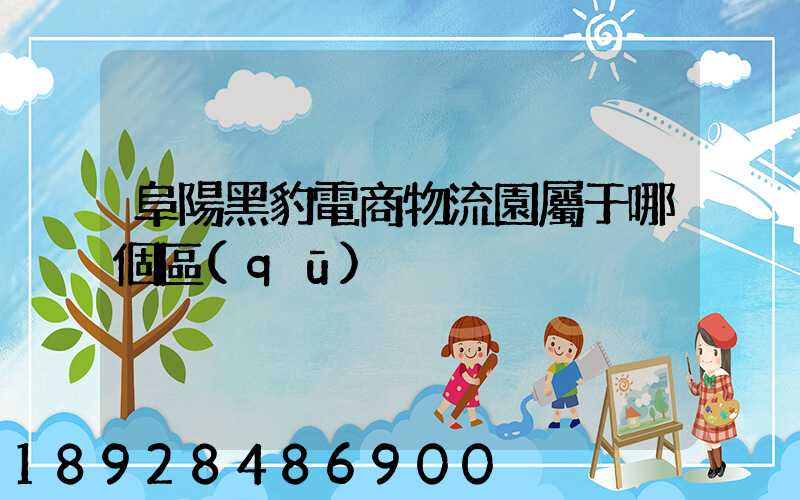 阜陽黑豹電商物流園屬于哪個區(qū)