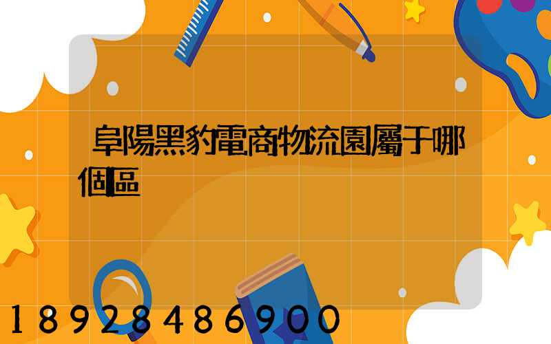 阜陽黑豹電商物流園屬于哪個區