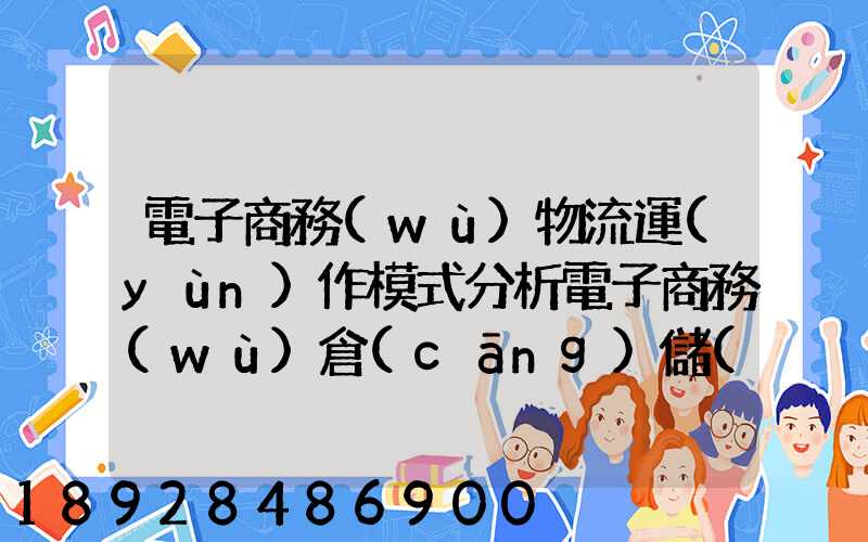 電子商務(wù)物流運(yùn)作模式分析電子商務(wù)倉(cāng)儲(chǔ)物流模式分析