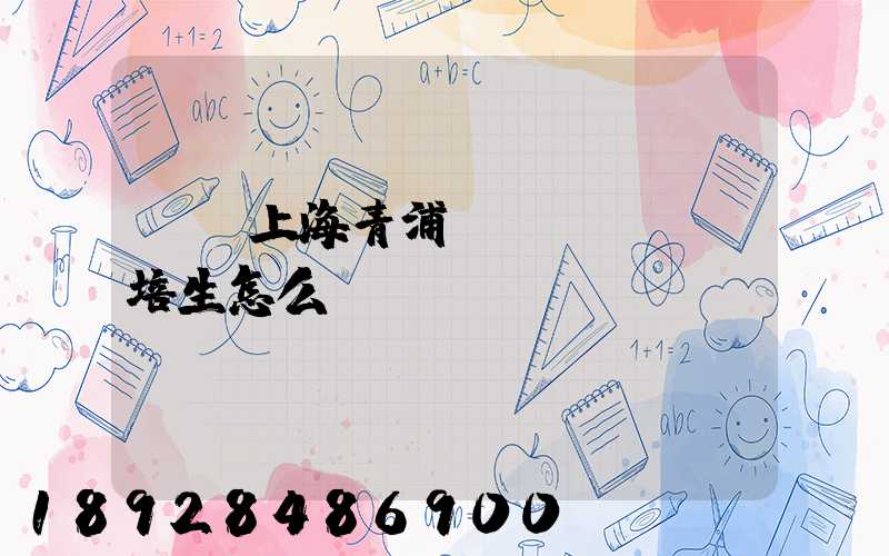 順豐上海青浦運(yùn)培生怎么樣