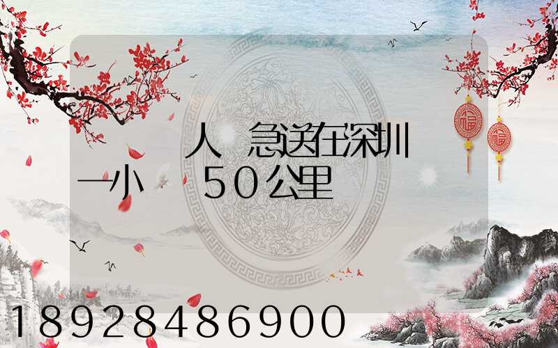 順豐無人機急送在深圳試點一小時飛50公里