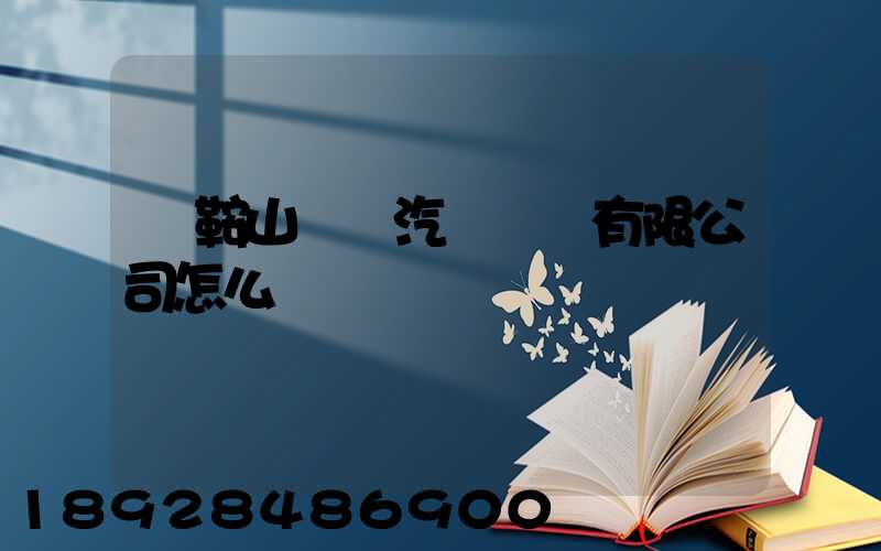馬鞍山榮順汽車運輸有限公司怎么樣